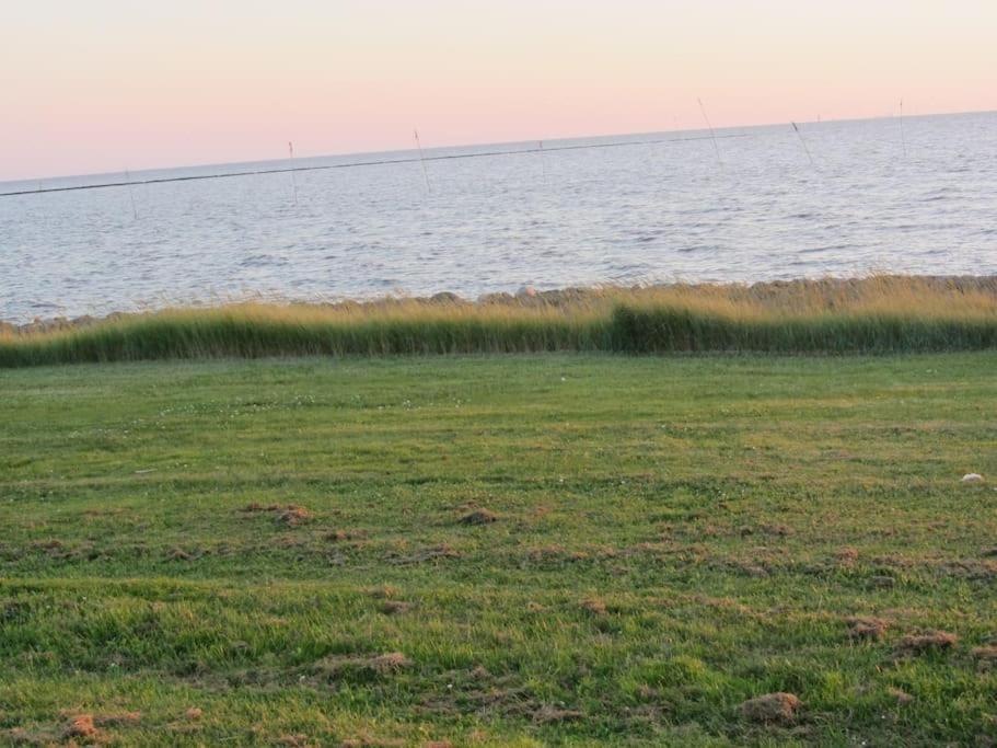 Nordsee Und Natur. Gemuetliche Fewo Mit Deichblick Dorumer Neufeld Bagian luar foto
