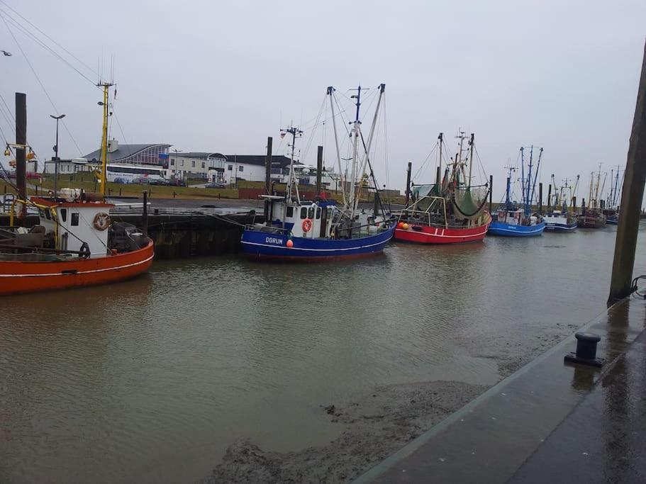 Nordsee Und Natur. Gemuetliche Fewo Mit Deichblick Dorumer Neufeld Bagian luar foto